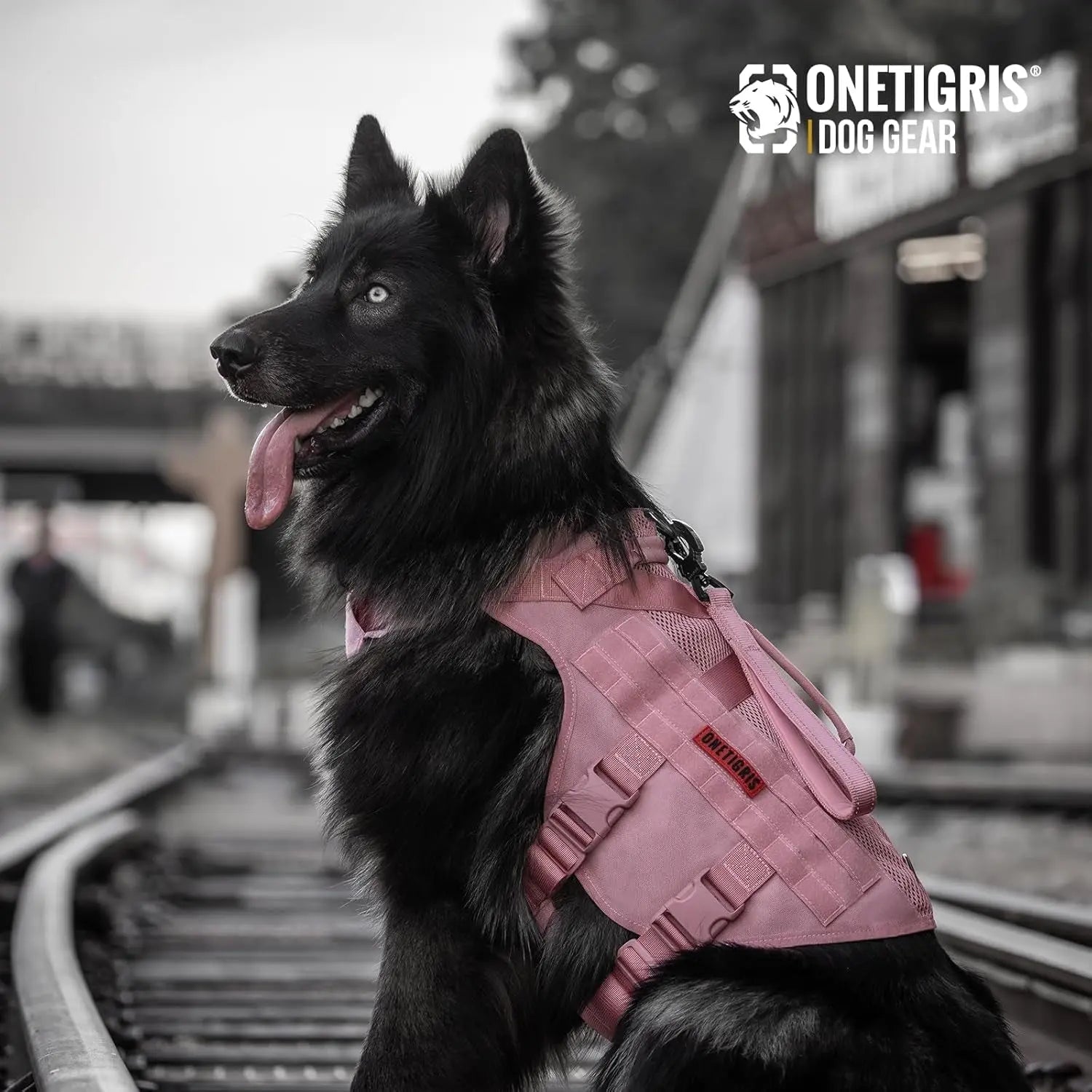 Tactical No-Pull Dog Harness