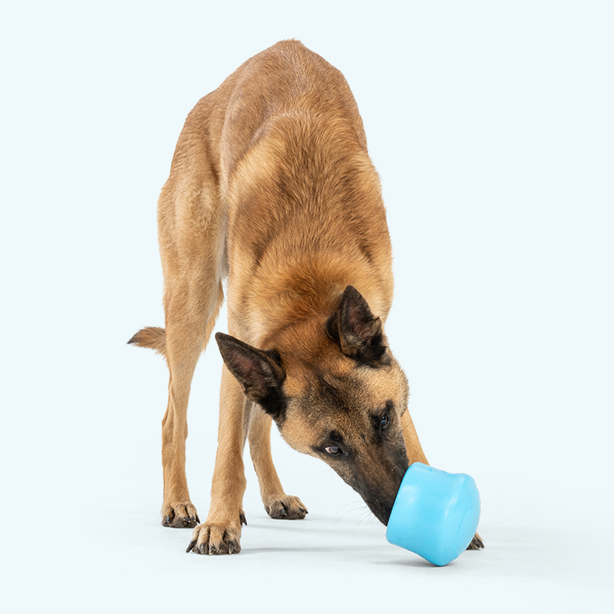 Toppl Treat & Puzzle Dog Toy | Fillable Enrichment Cup – West Paw