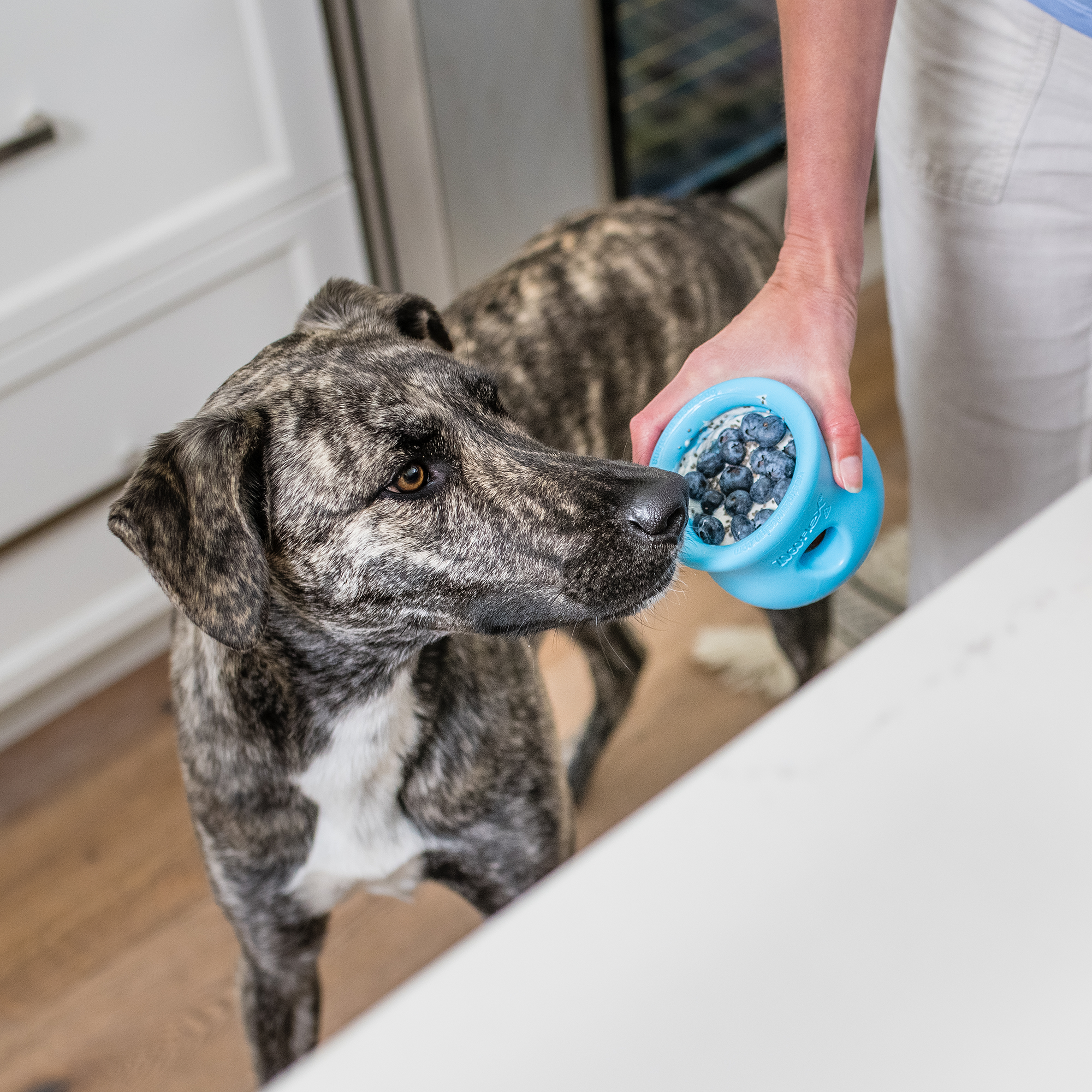 Toppl Treat & Puzzle Dog Toy | Fillable Enrichment Cup – West Paw