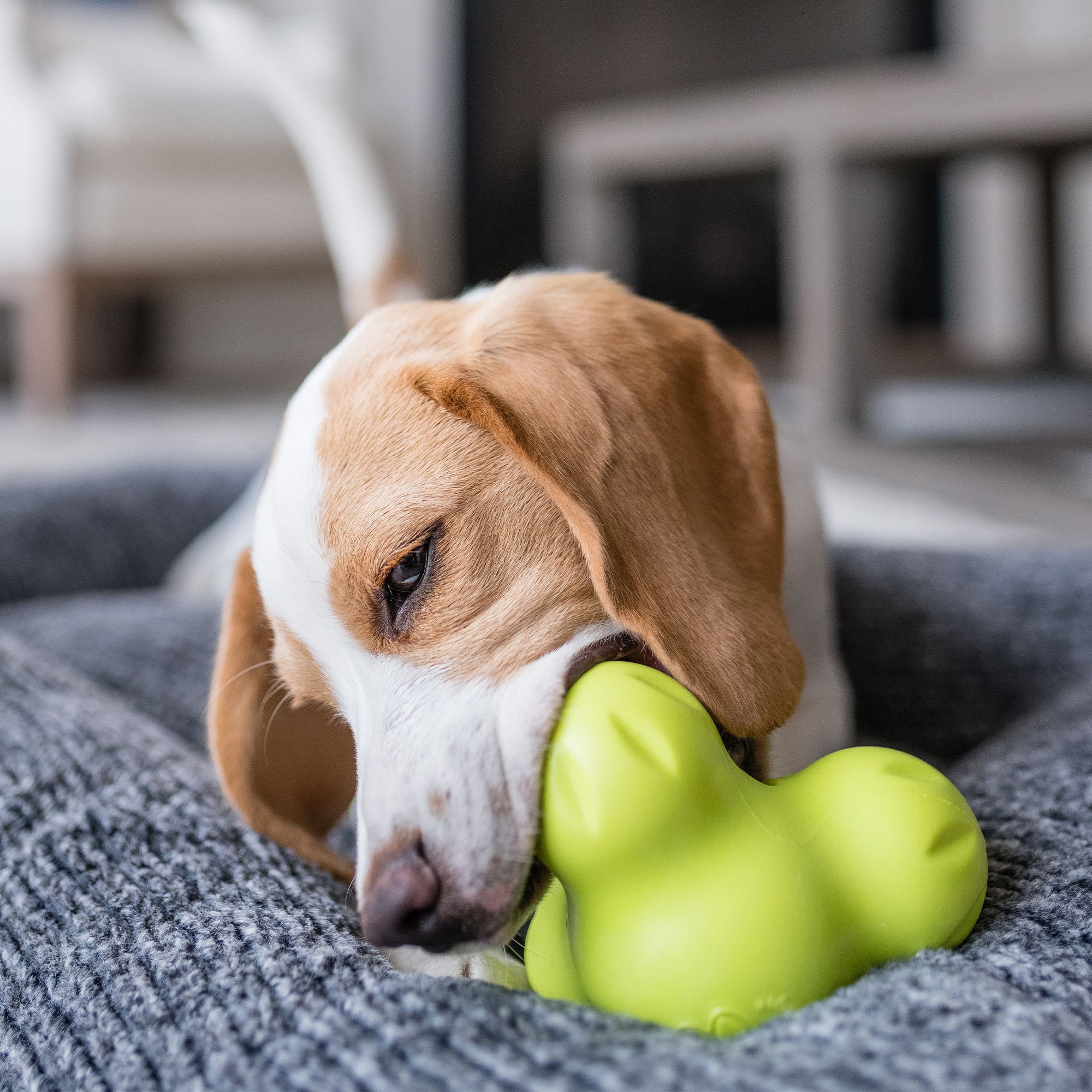 Tux Treat-Dispensing Dog Toy | Tough Chew with Hidden Treat Pocket – West Paw