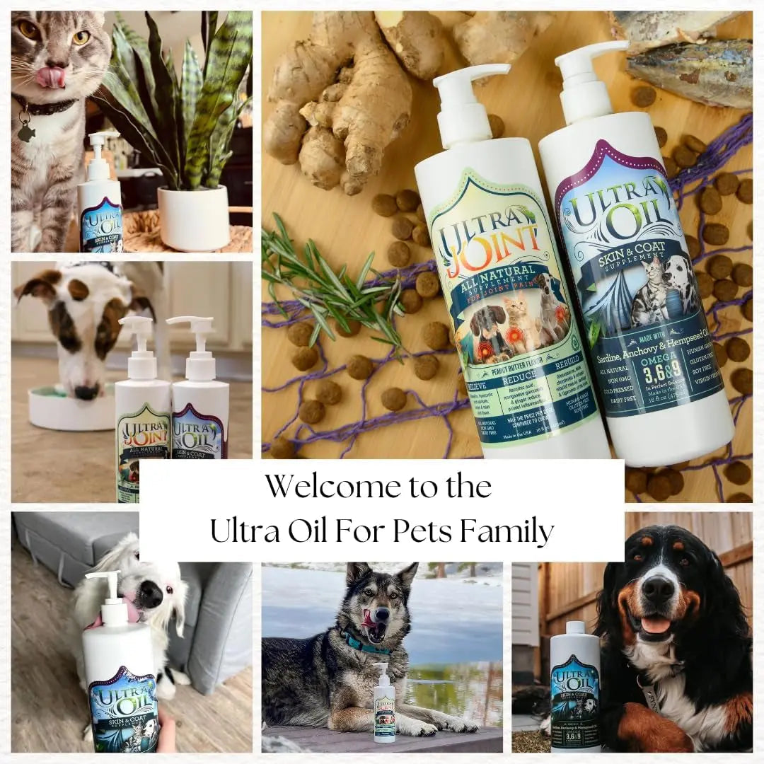 Ultra Joint Liquid Dog Supplement | Glucosamine & Chondroitin, 8oz & 16oz – Wags & Whiskers
