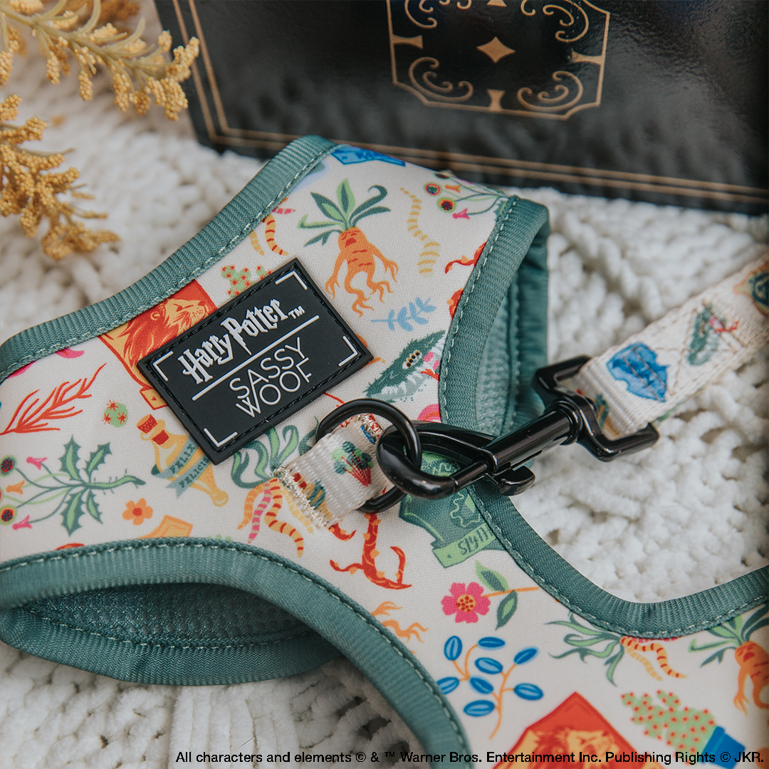 Pet Leash - Harry Potter™ Herbology