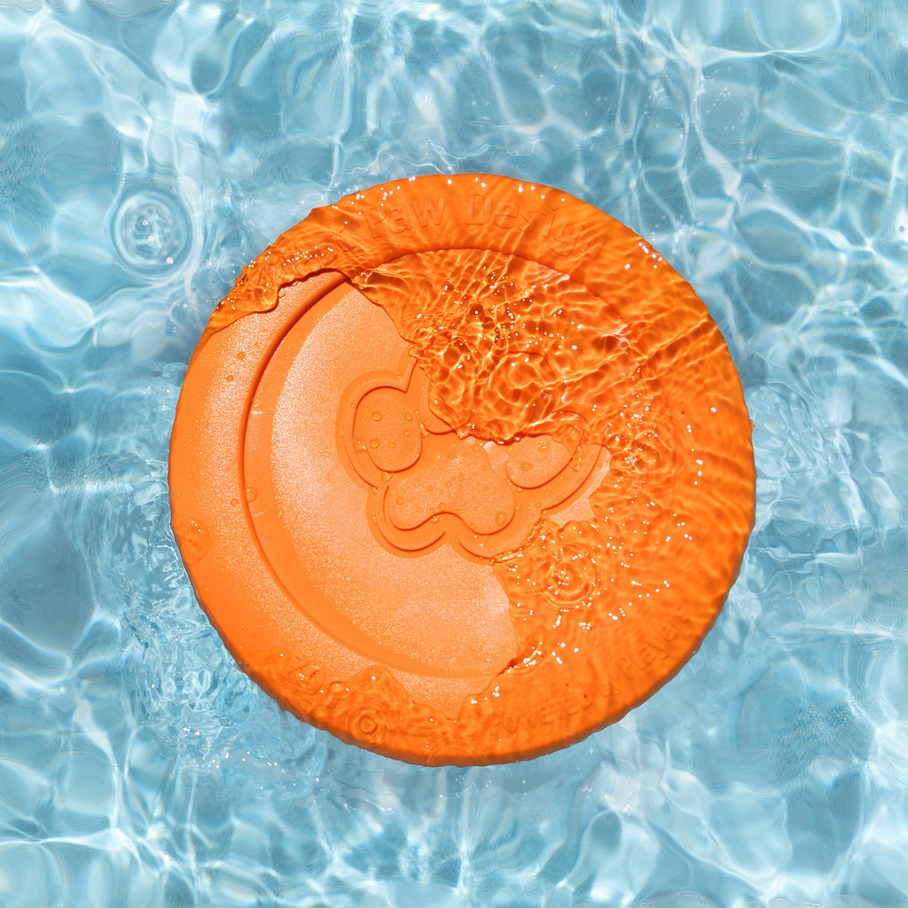 Zisc Flying Disc Dog Toy | Soft, Floatable Frisbee for Fetch – West Paw