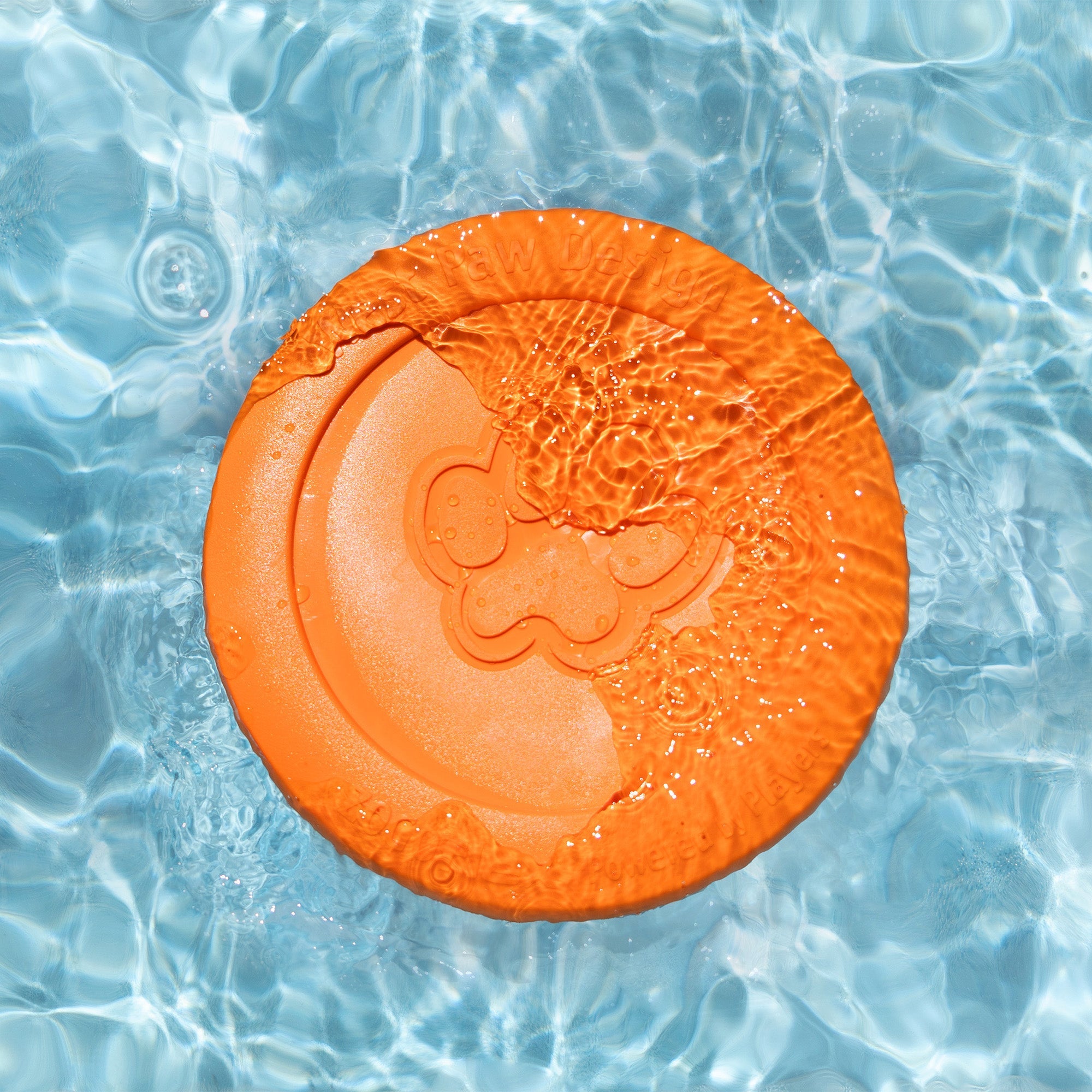 Zisc Flying Disc Dog Toy | Soft, Floatable Frisbee for Fetch – West Paw