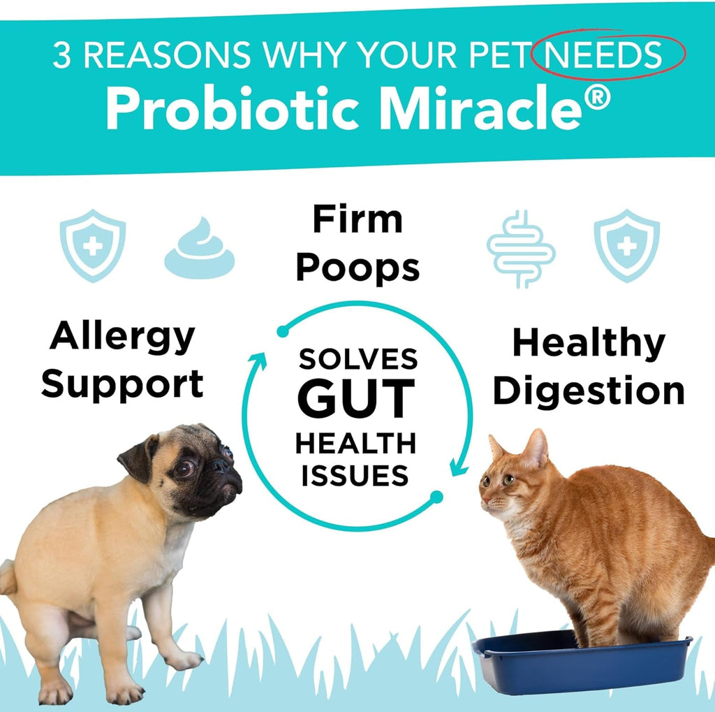 Dog Probiotics Powder | Digestive Enzyme & Immune Support, 360 Scoops – Wags & Whiskers