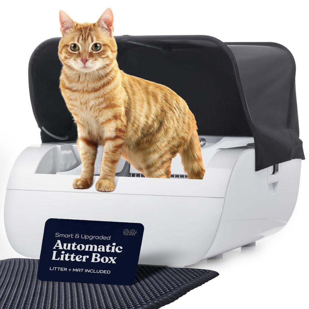 Astropet Smart Cat Litter Box