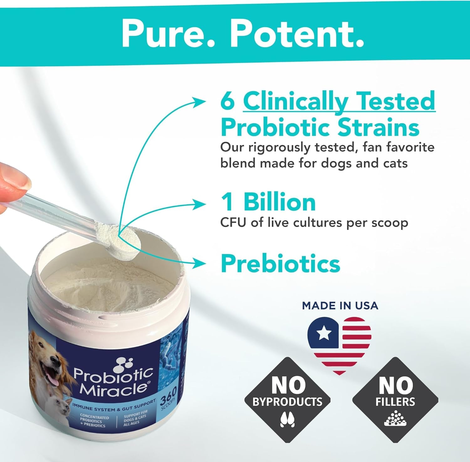 Dog Probiotics Powder | Digestive Enzyme & Immune Support, 360 Scoops – Wags & Whiskers