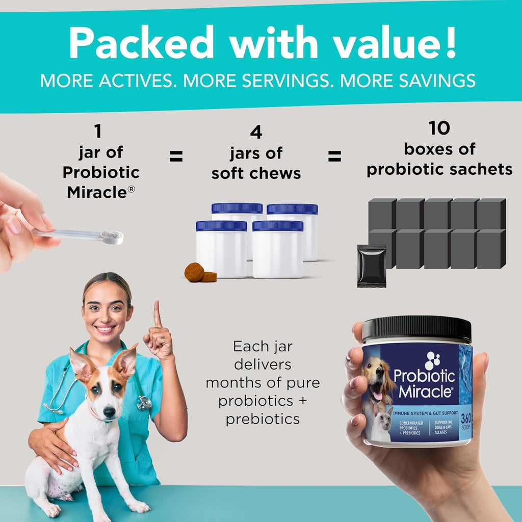 Dog Probiotics Powder | Digestive Enzyme & Immune Support, 360 Scoops – Wags & Whiskers