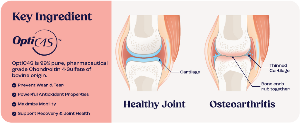 Cat Joint Supplement Chondroitin Mobility Support