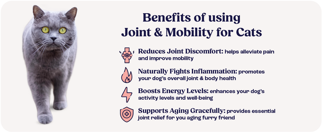 Cat Joint Supplement Chondroitin Mobility Support