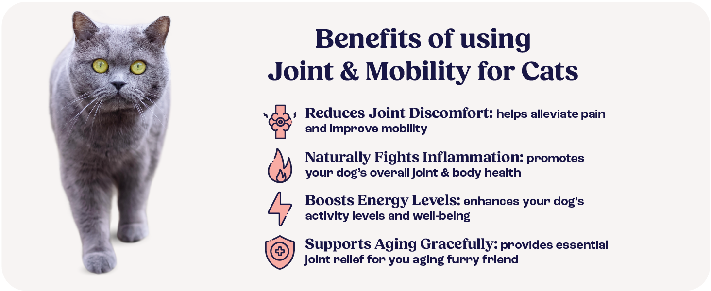 Cat Joint Supplement Chondroitin Mobility Support