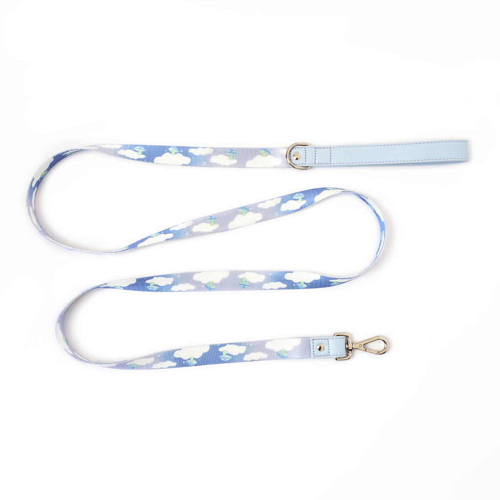 Ruby Leash
