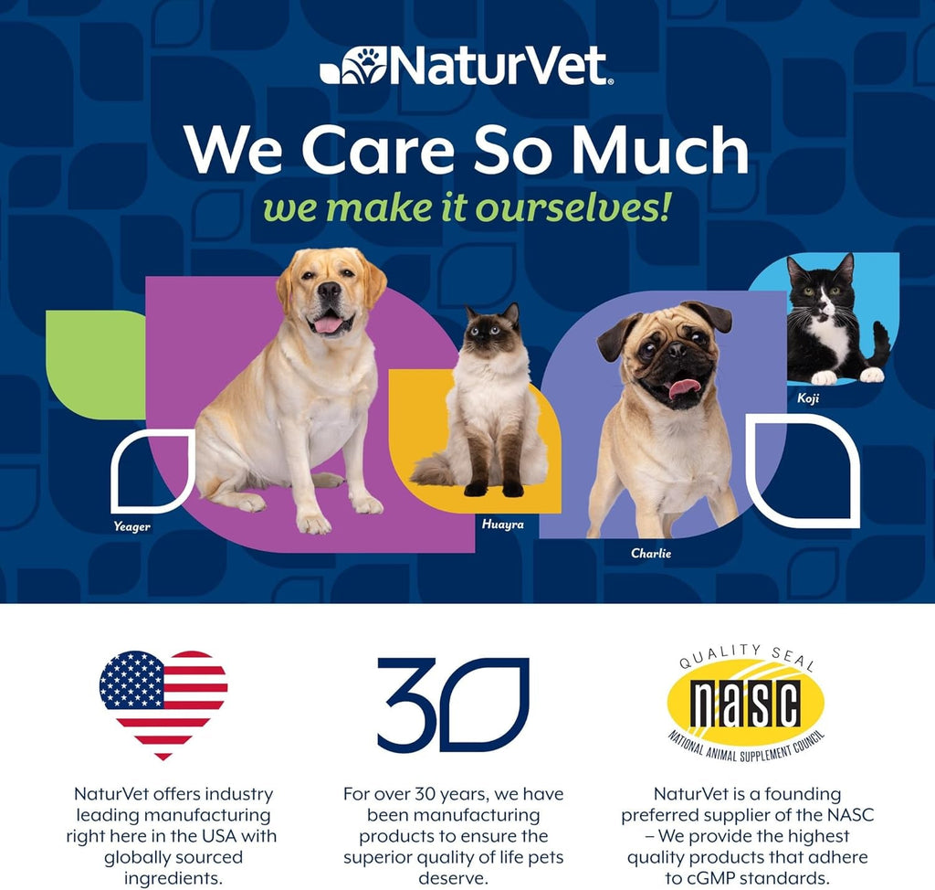 Dog Multivitamin Soft Chews | 10-in-1 Joint, Skin & Immune Support, 60ct – Wags & Whiskers