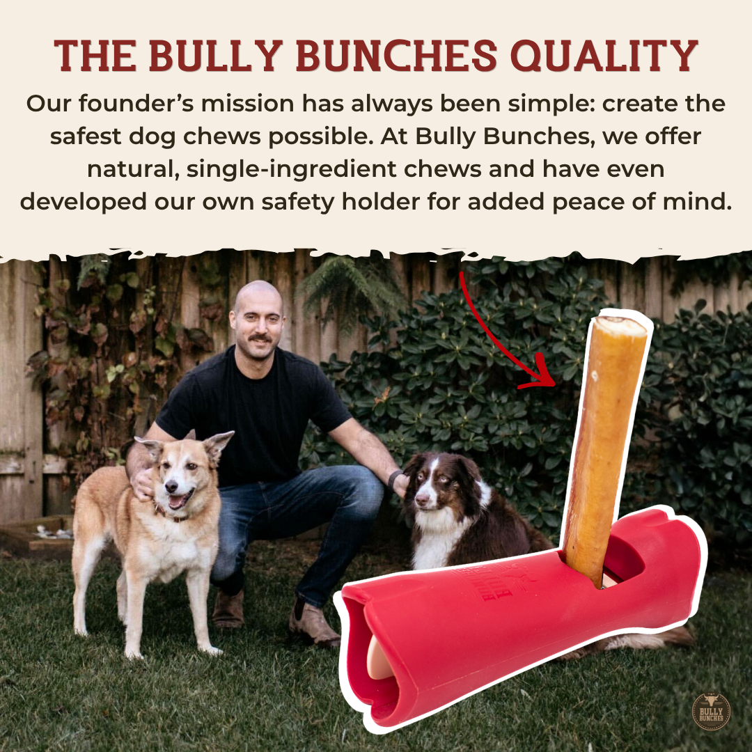 6 Inch Standard Braided Bully Stick