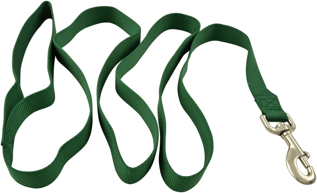 Jeffers Web Nylon Dog Leashes