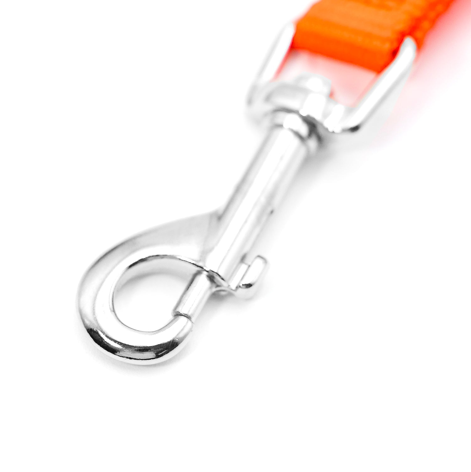 Jeffers Web Nylon Dog Leashes