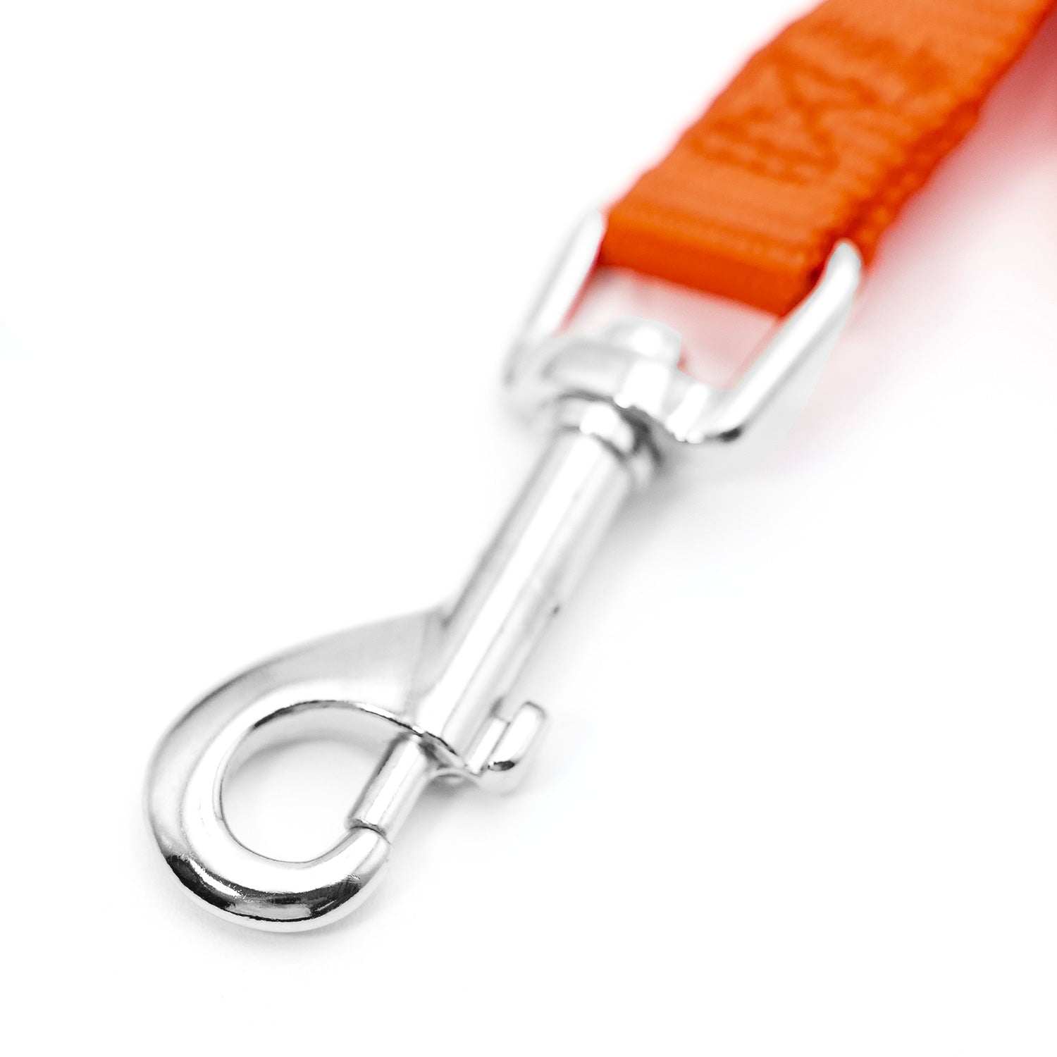 Jeffers Web Nylon Dog Leashes