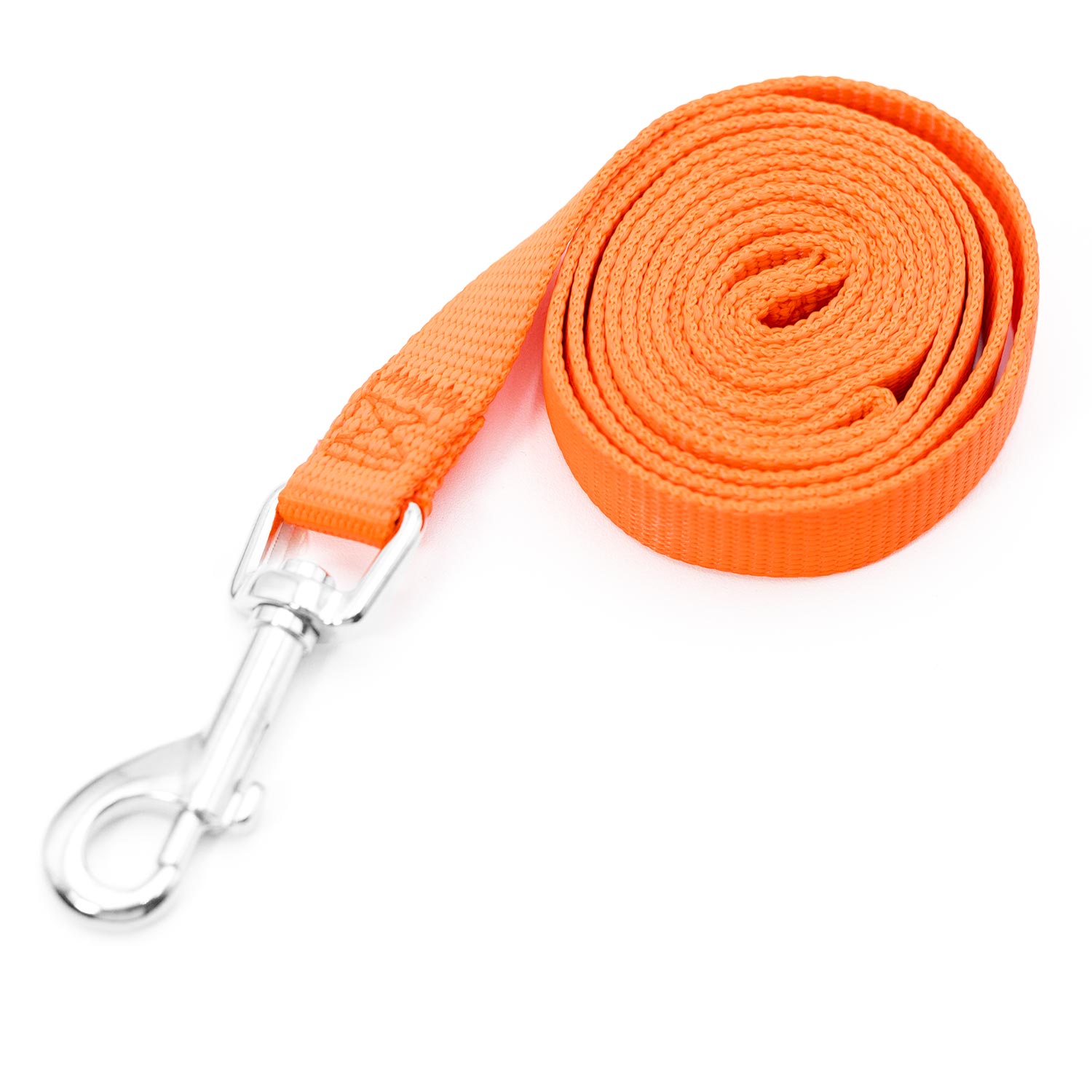 Jeffers Web Nylon Dog Leashes