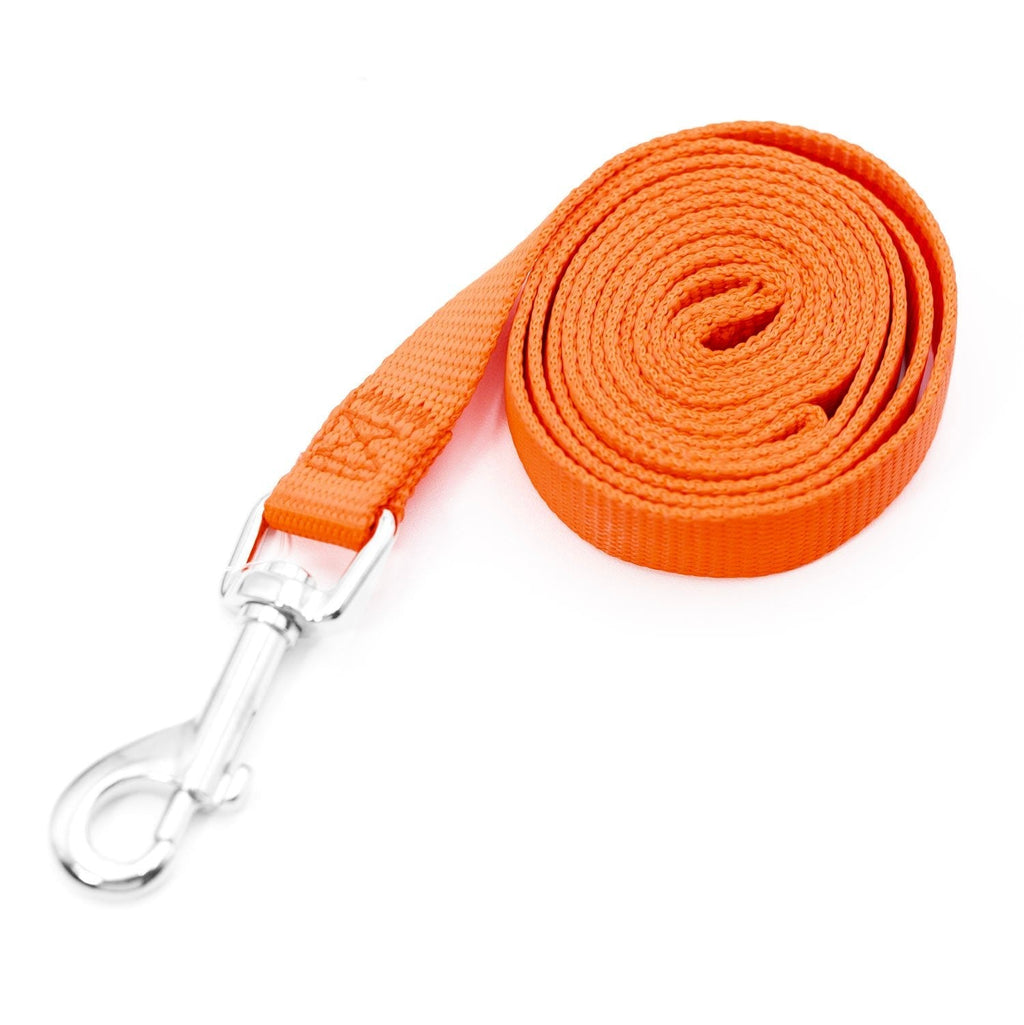 Jeffers Web Nylon Dog Leashes