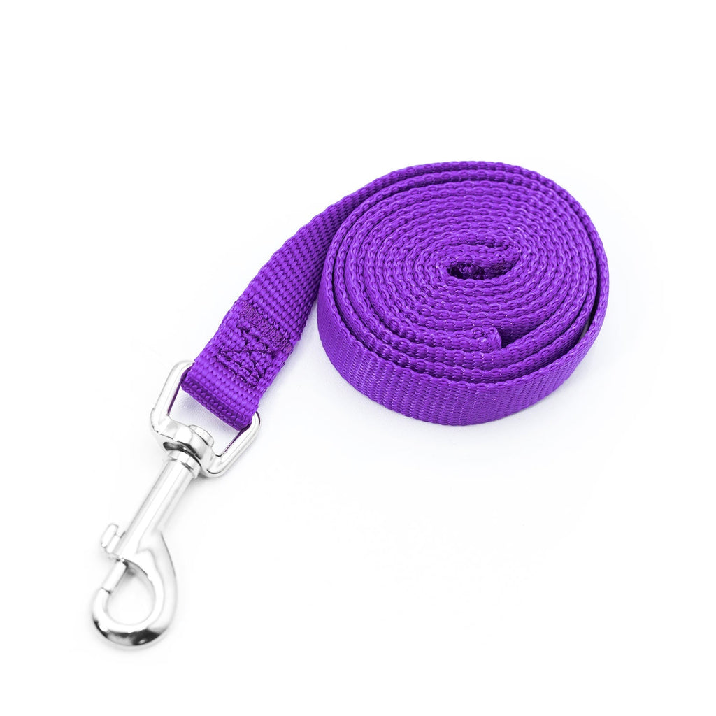 Jeffers Web Nylon Dog Leashes