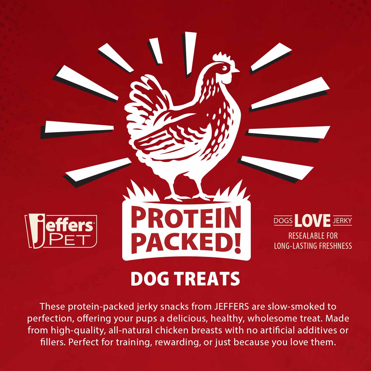 Jeffers Chicken Jerky Healthy Dog Treats, 24 oz - 100% Natural | Made in USA