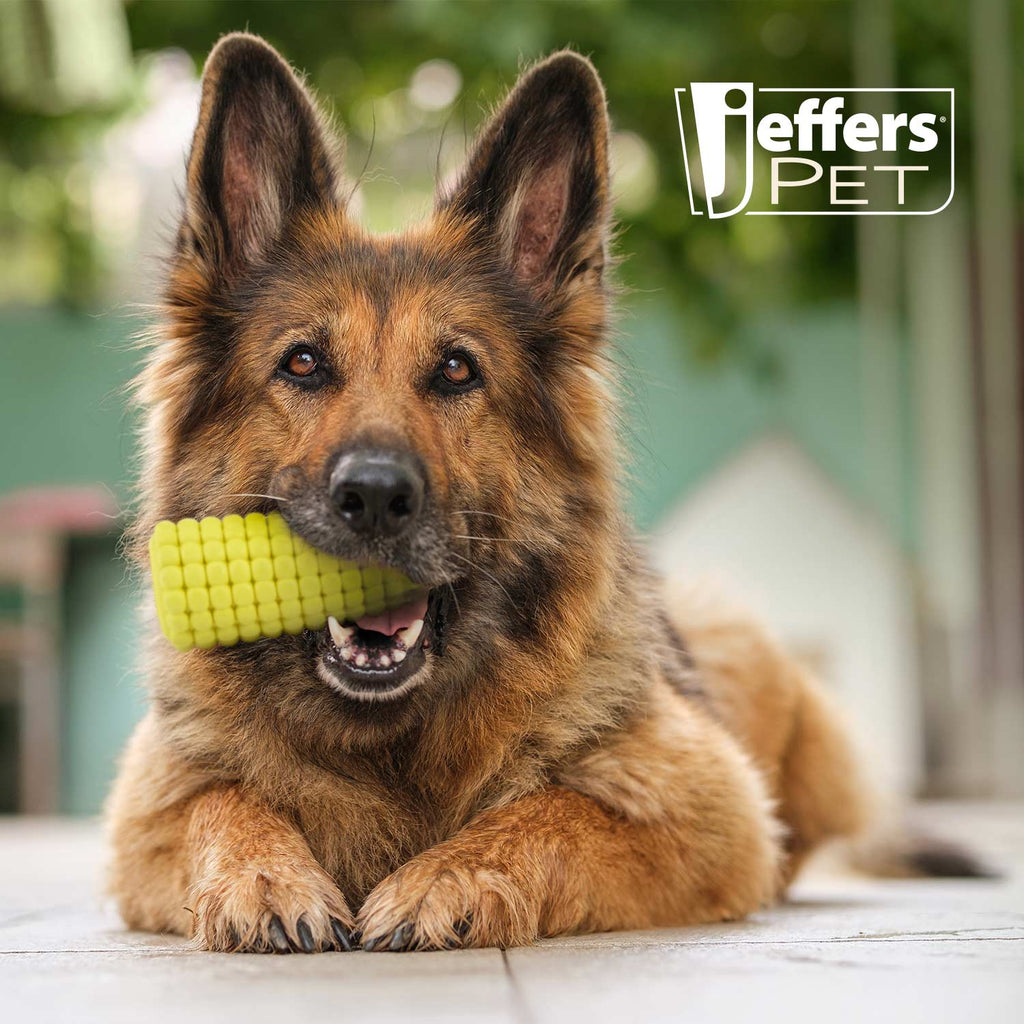 Jeffers Corn Cob Treat Dispenser Dog Toy