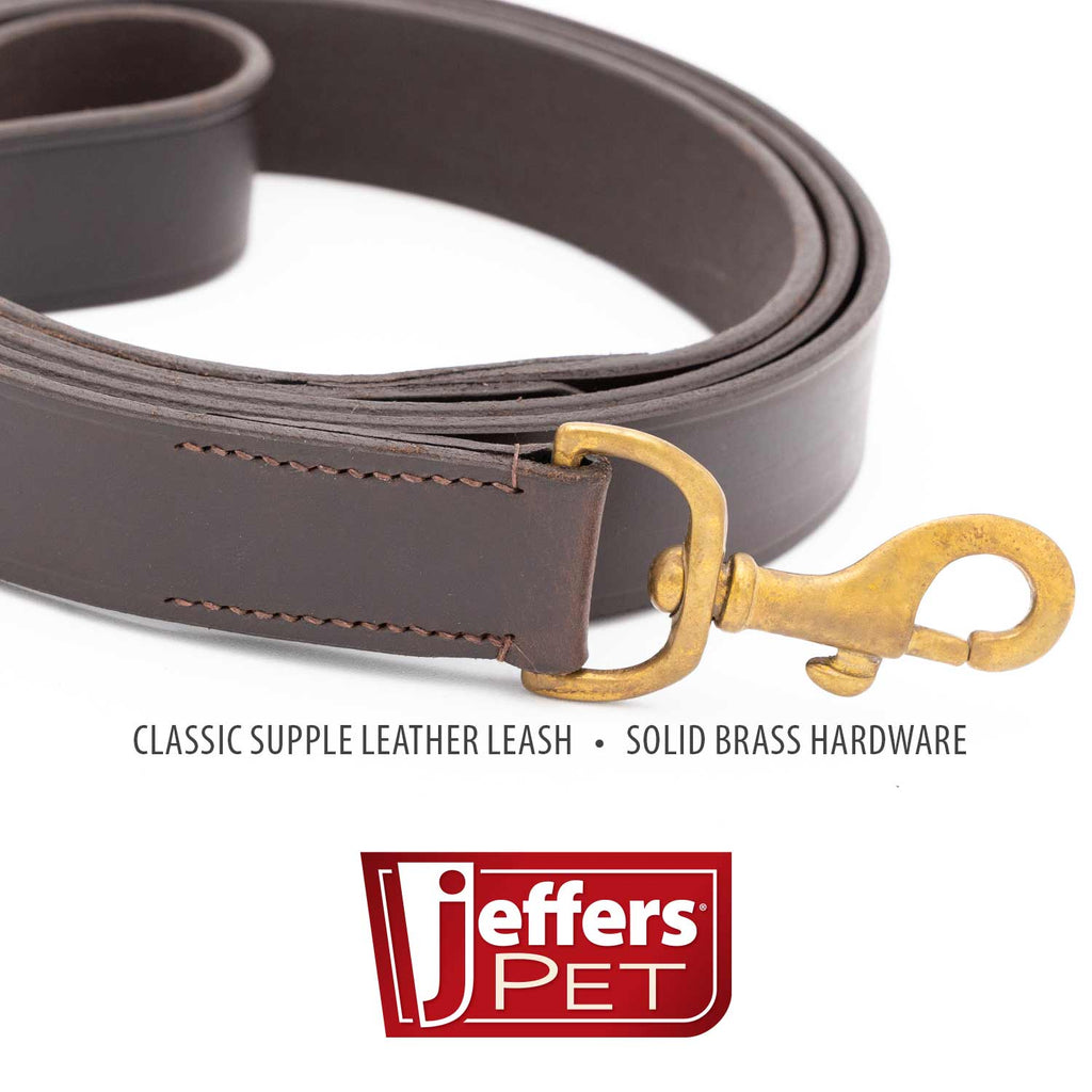 Jeffers Flat Leather Dog Leash with Hand Strap Handle