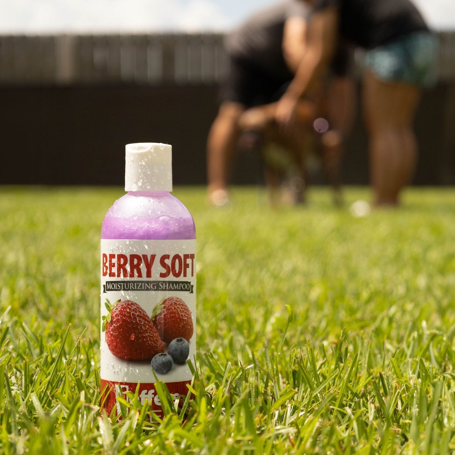 Jeffers Moisturizing Shampoo for Pets