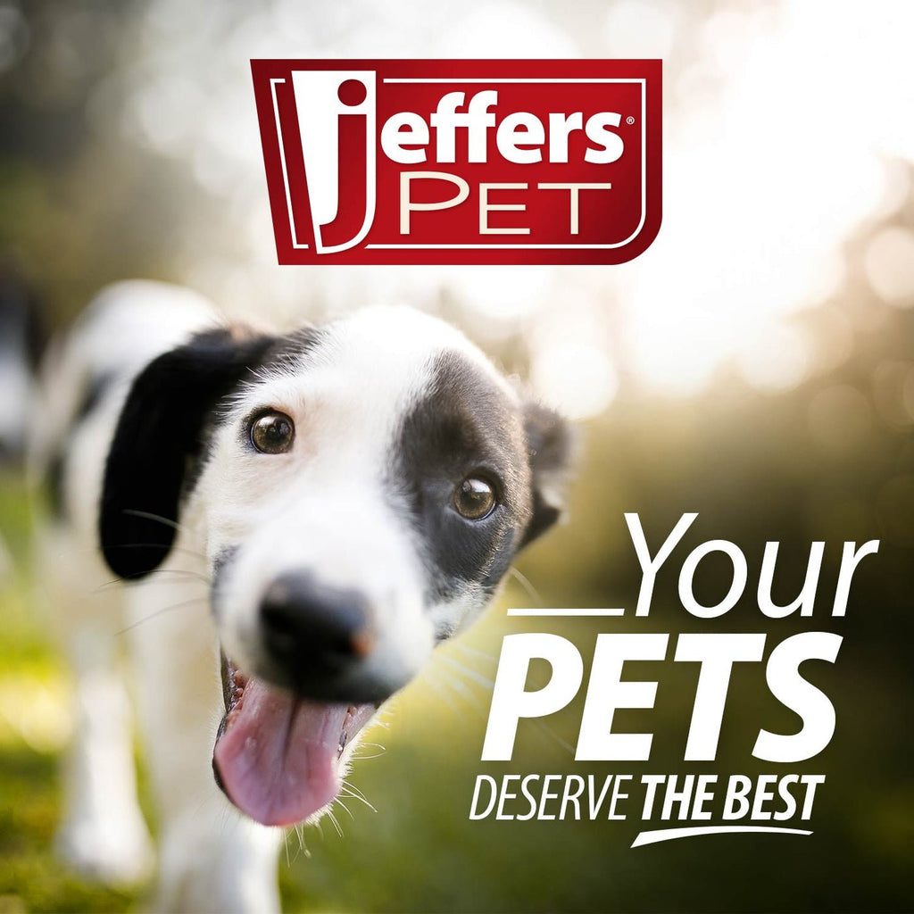 Jeffers Flat Leather Dog Leash with Hand Strap Handle