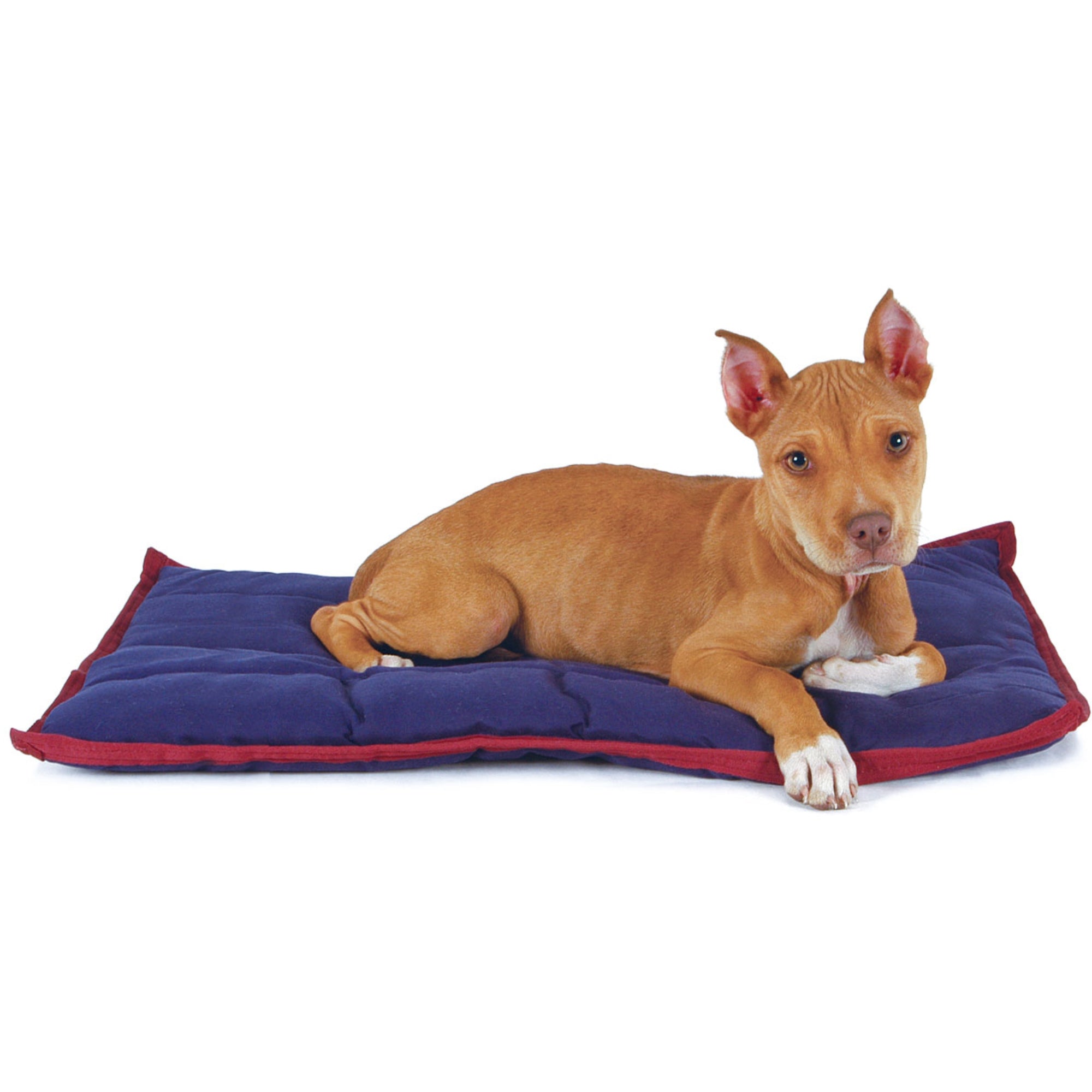 Jeffers Pet Washable Pillow for Crates, Carriers, or Lounging
