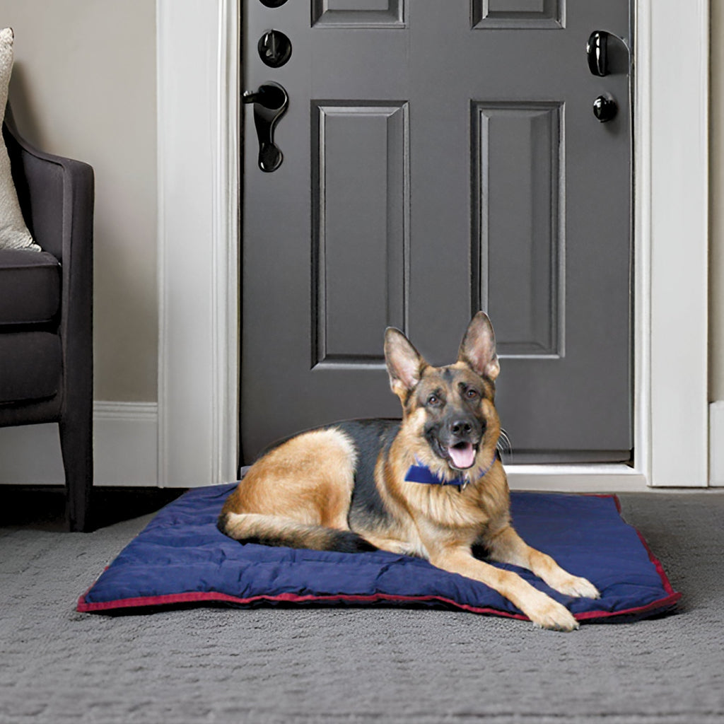 Jeffers Pet Washable Pillow for Crates, Carriers, or Lounging