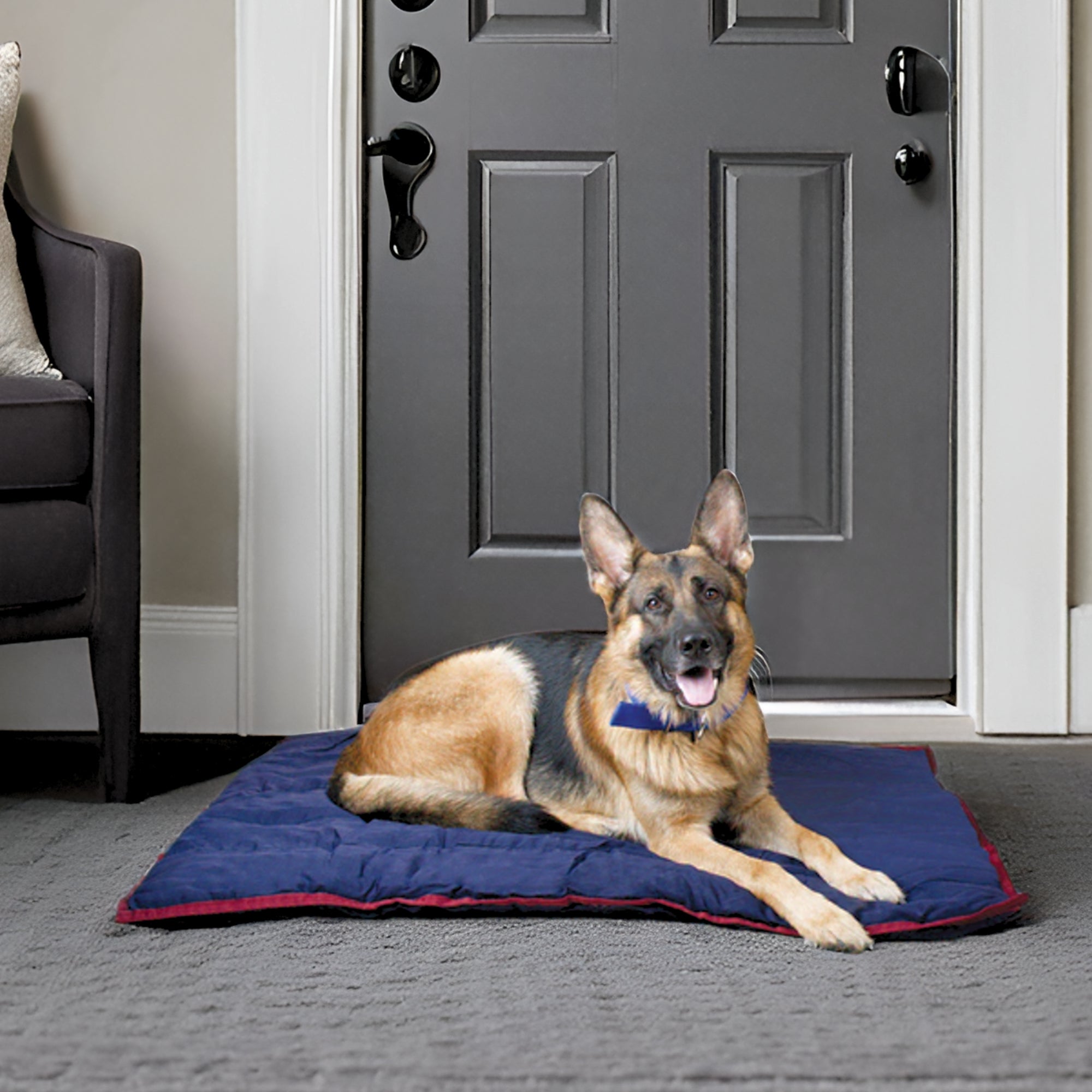 Jeffers Pet Washable Pillow for Crates, Carriers, or Lounging