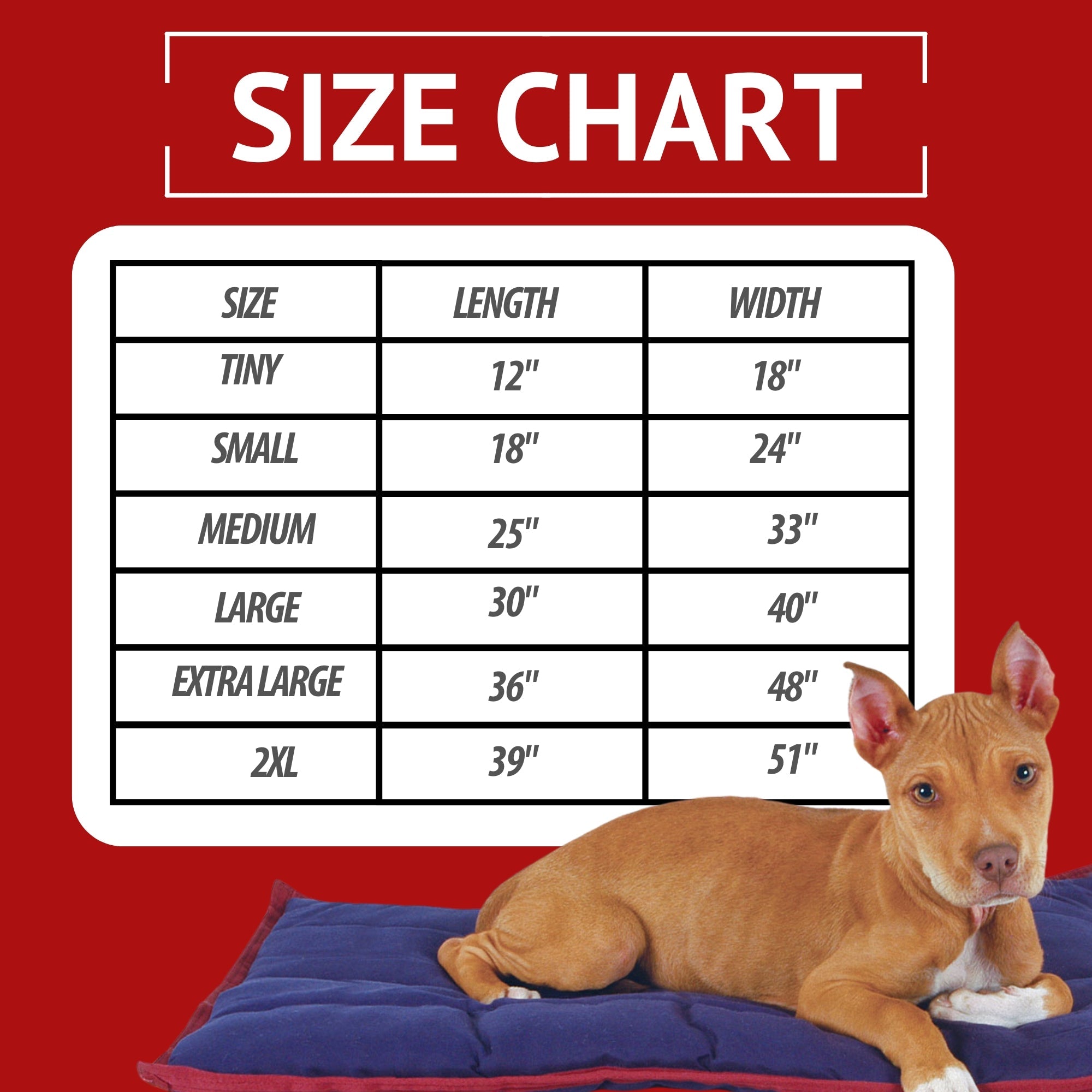 Jeffers Pet Washable Pillow for Crates, Carriers, or Lounging