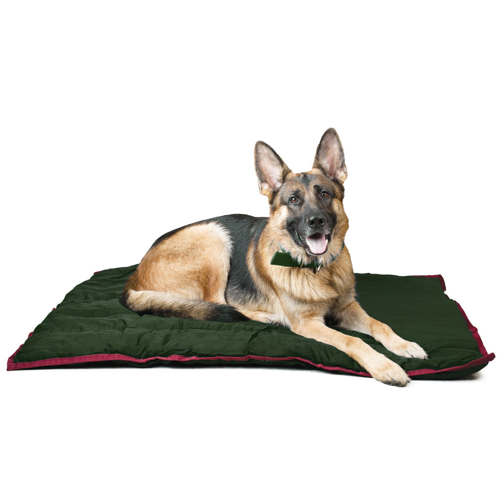 Jeffers Pet Washable Pillow for Crates, Carriers, or Lounging