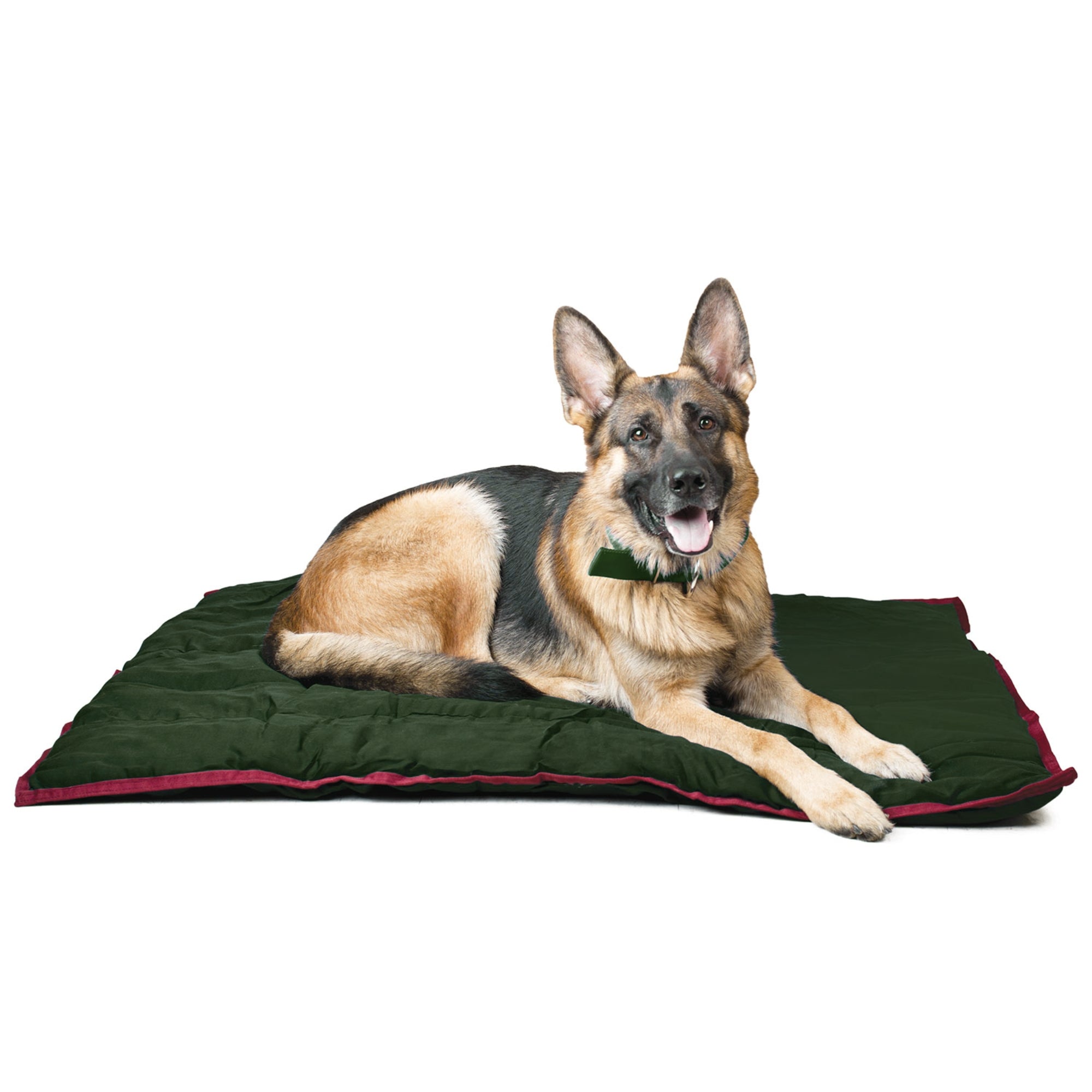 Jeffers Pet Washable Pillow for Crates, Carriers, or Lounging