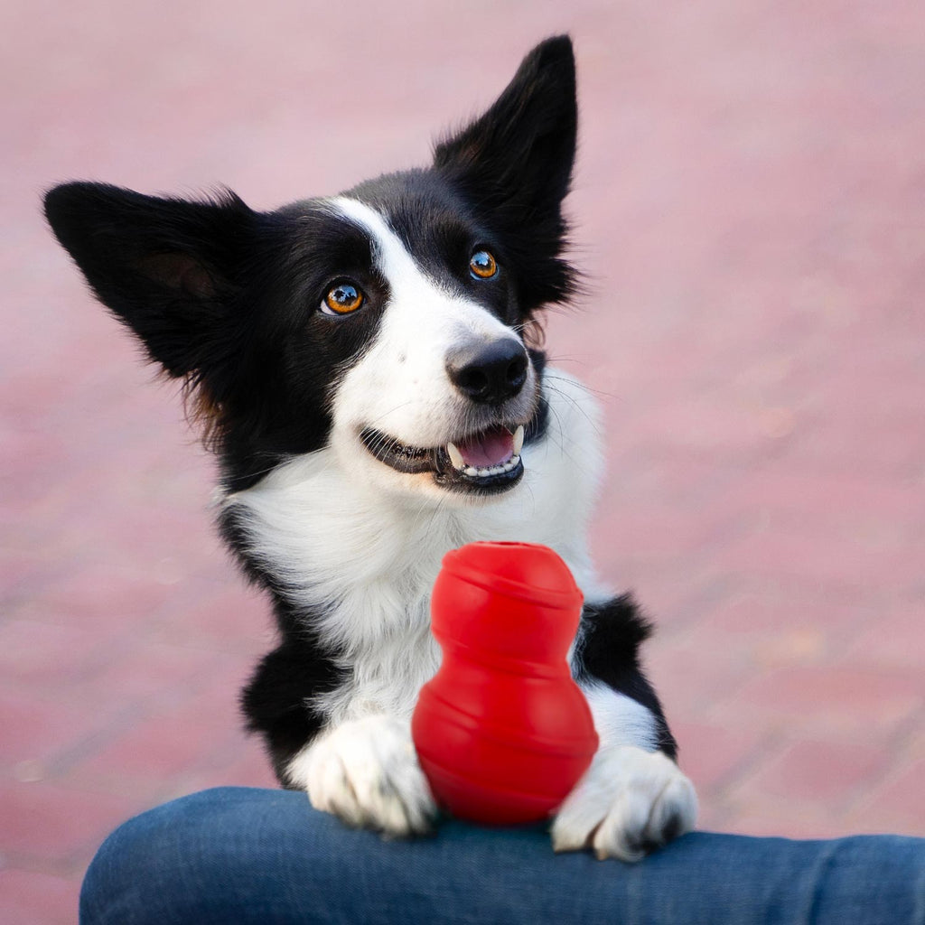 Jeffers Red Classic Stuffable Fetch & Chew Dog Toy