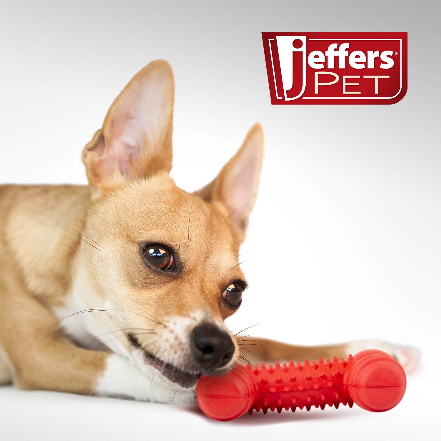 Jeffers Red Dental Bone Dog toy