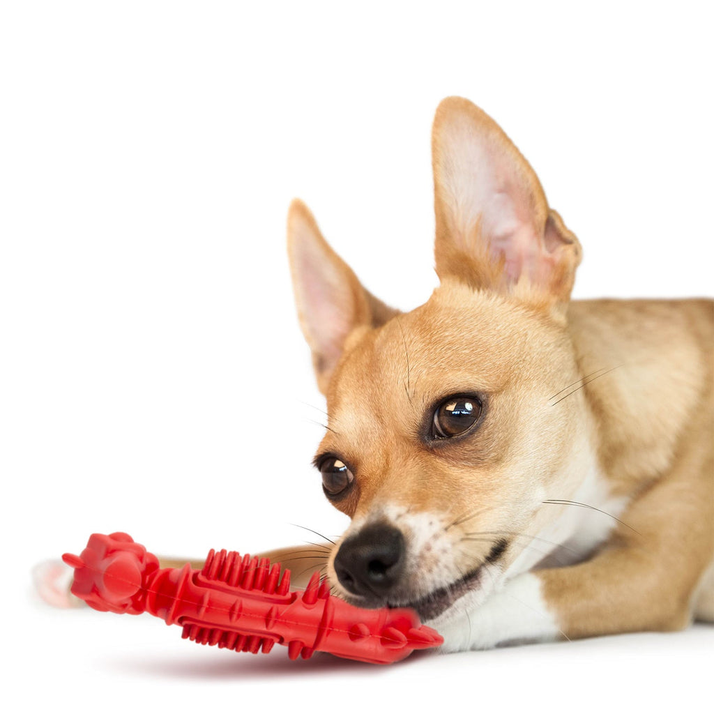 Jeffers Red Seahorse Natural Rubber Dog Chew Toy