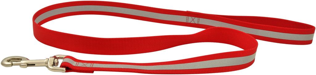 Jeffers Reflective Glow-in-the-Dark Dog Leash, 1" W x 4' L