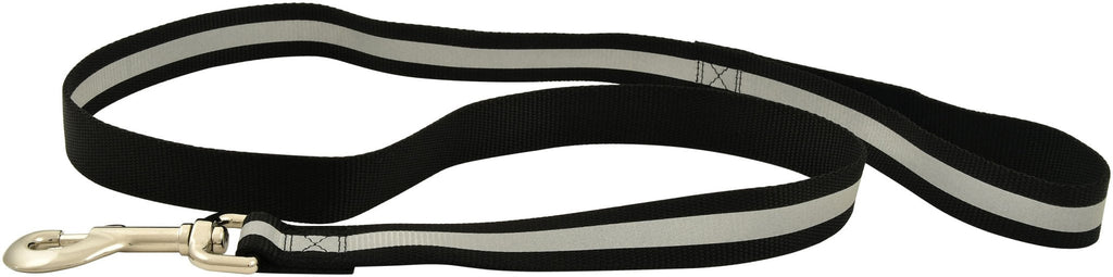 Jeffers Reflective Glow-in-the-Dark Dog Leash, 1" W x 4' L