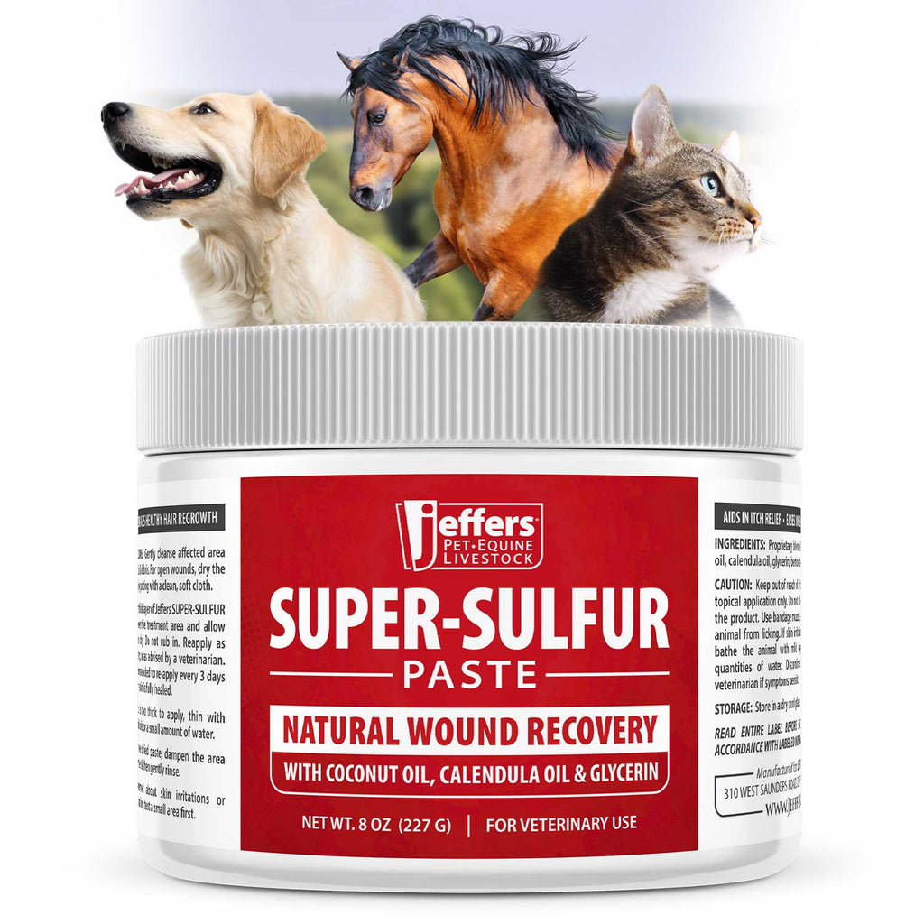 Jeffers Super-Sulfur Skin & Wound Healing Paste for Pets
