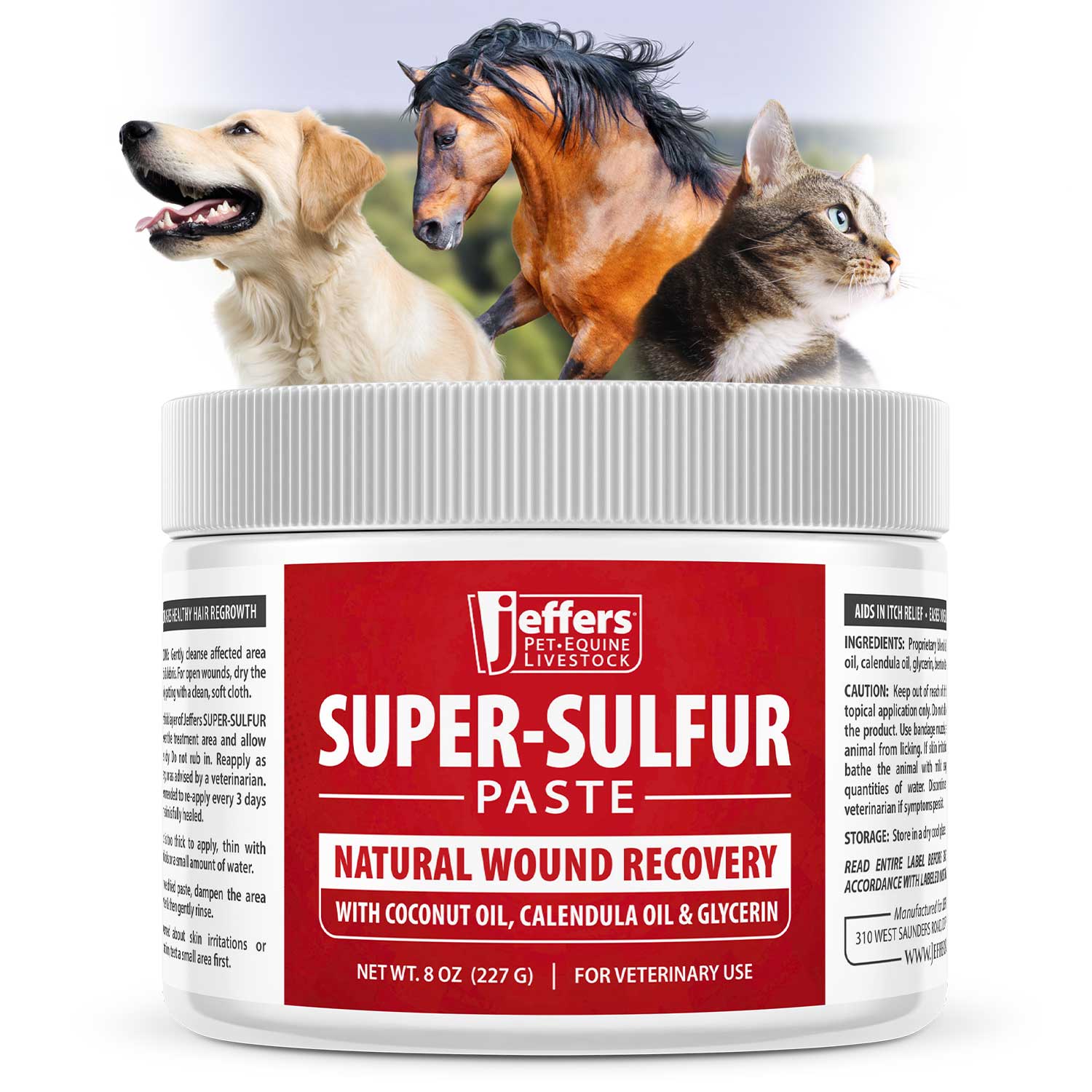 Jeffers Super-Sulfur Skin & Wound Healing Paste for Pets