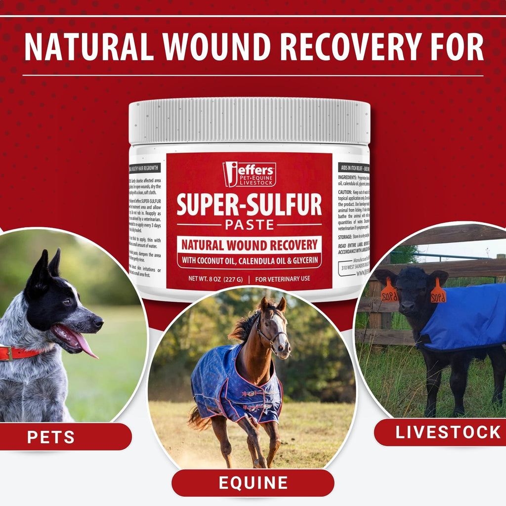 Jeffers Super-Sulfur Skin & Wound Healing Paste for Pets