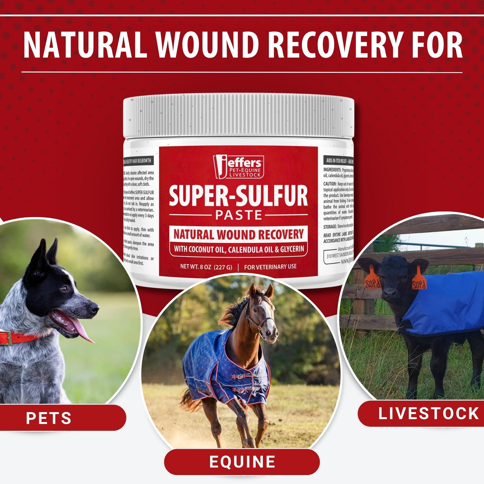 Jeffers Super-Sulfur Skin & Wound Healing Paste for Pets