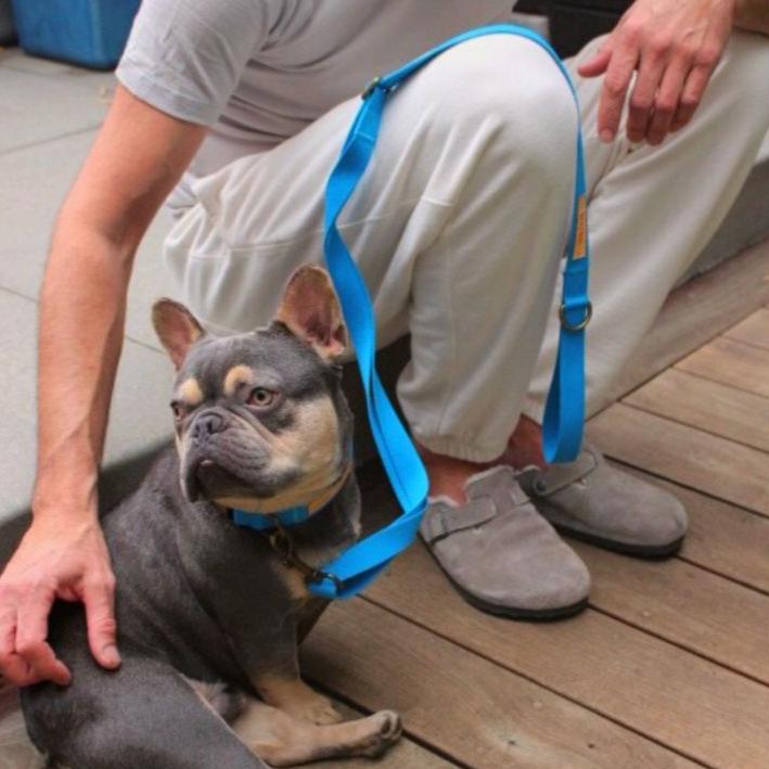 Tilley + Me Hemp Cotton Dog Leash