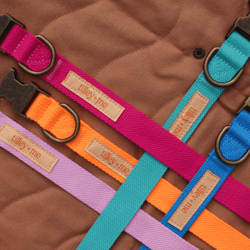 Tilley + Me Hemp Cotton Dog Leash