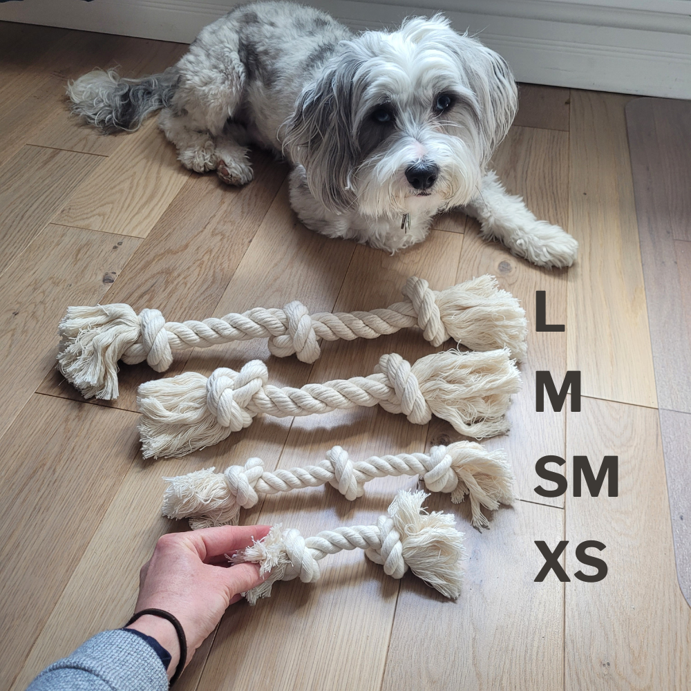 Boba & Vespa 100% Organic Cotton Rope Dog Toy