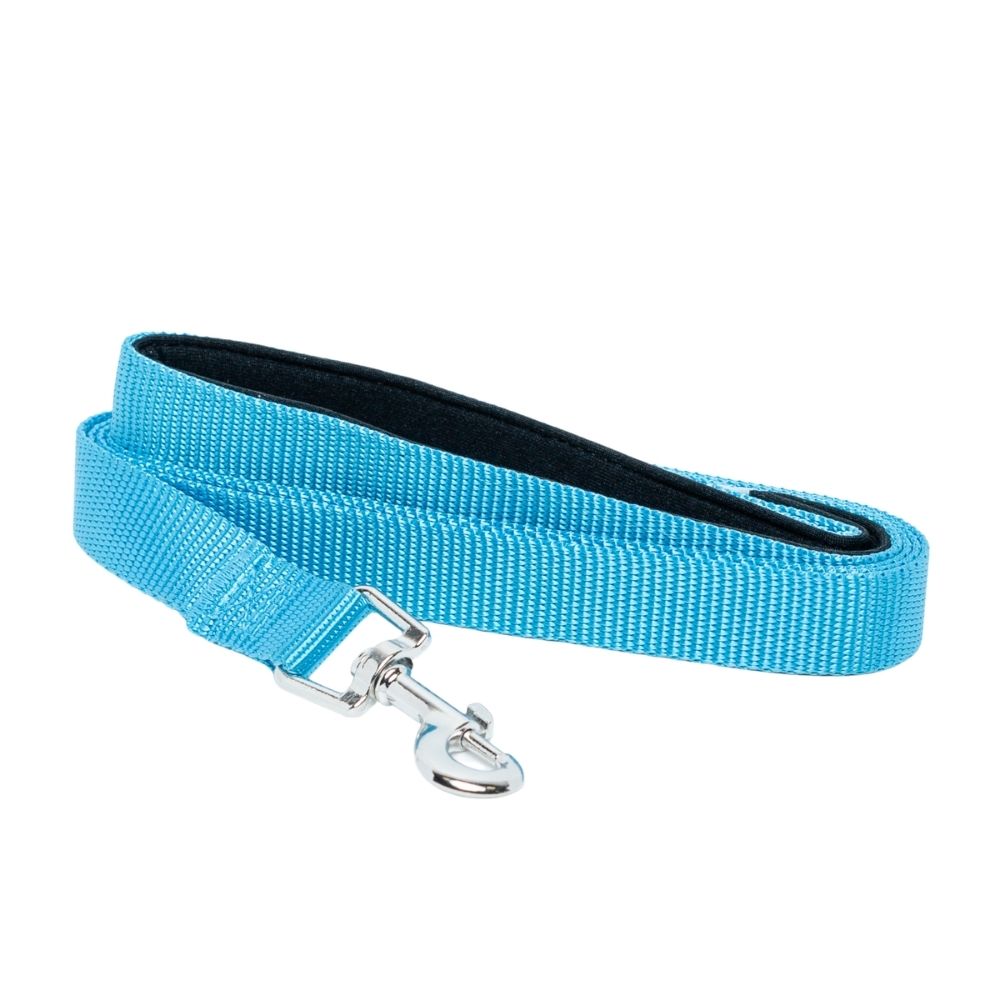 Padded Grip Dog Leash | Durable Nylon Leash with Comfort Handle, 5ft