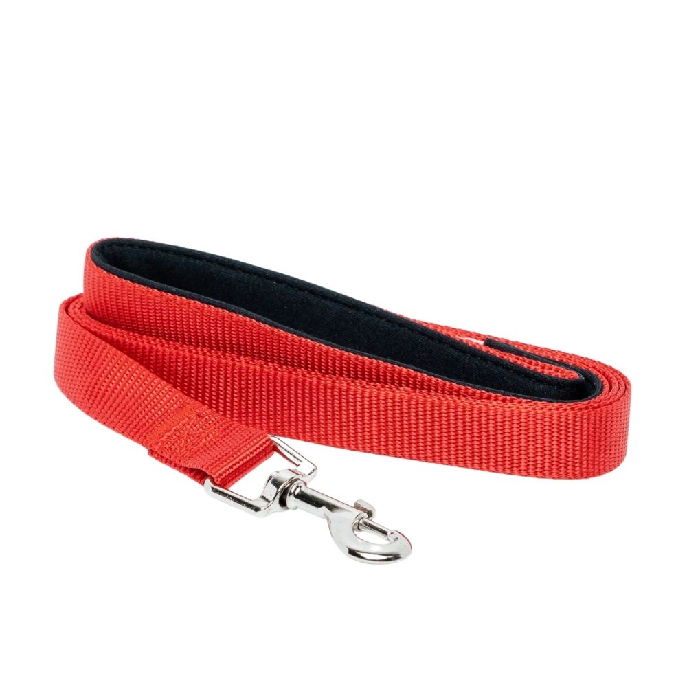 Padded Grip Dog Leash | Durable Nylon Leash with Comfort Handle, 5ft