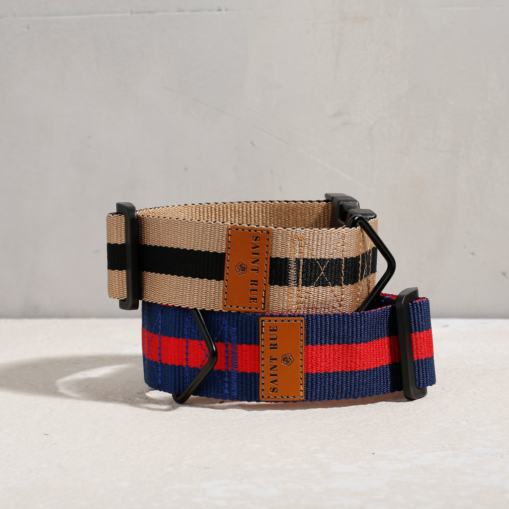 The City Dog Collar